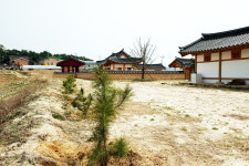 영주 이산서원, 학자수 후계목 40여 그루 식재