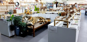 마스크 없이 입장 안돼요 국립백두대간수목원 재개장