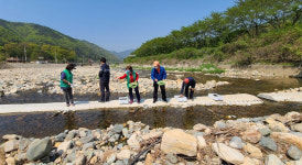 경주시, 산내면 청정수역에 어린 다슬기 30만 마리 방류