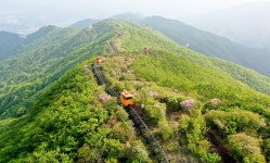 모노레일 타고 대봉산 여행