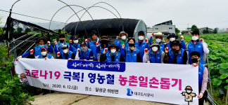 대구도시공사, 달성군 양파농장 일손돕기