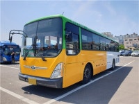 4색 장미 빛깔 포항 시내버스