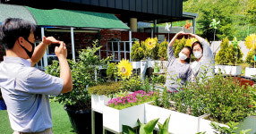 창원방향 성주휴게소, 코로나19 극복 꽃 장식 포토존 운영