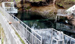 중단된 용출수 울릉샘물 개발 속도낸다
