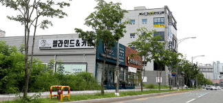 왕벚꽃 피고 지는 그런 날이 올까요