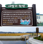 참새미(참샘)진로와 청이슬