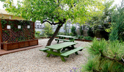 오래된 시장에 활기와 평온을 선물하다