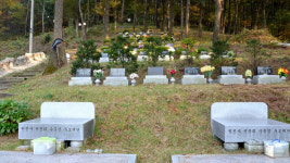 포항 유일 수목장 원진사, 수려한 자연장지로 인기