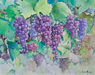 겹겹이 쌓인 자연의 색, 마음 어루만져