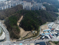 안동 도심, 숲으로 '푸르게 푸르게'