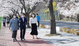 영천시, 벚꽃100리길 전국 명소로 만든다