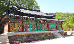포항 천곡사 고란초 군락 천연기념물 지정해야