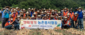 남양금속(주), 양파재배 농가 일손 돕기