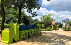 대구 남구 주요 관광지 힐링 성지로 새단장