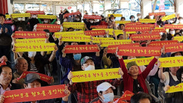 울릉도 여객선 썬플라워호 대체선 소송기각…포항지방해양수산청 승소