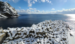 걸어서 울릉도 속으로…대형 크루즈 취항에 따른 관광활성화 협업