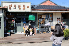 순수한 사랑 희망 찾으러 청춘들이 온다, 포항으로 온다