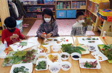 울릉도 자연 잎ㆍ열매와 가을여행…유치원 어린이 가을 자연물로 놀아요.