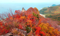 울릉도 가을 신령수가는 길은 아름답다…한국 가을 비대면 안심 길 25선 주말 붐벼