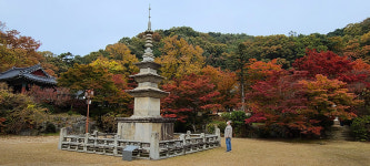 직지(直指)