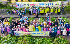 울릉도 어린이 농산물 수확에 신났어요…가을 무ㆍ고구마 수확 등 텃밭 체험