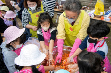 고인돌무장고구마작목반영농조합법인 | 울릉도 어린이 농산물 수확에 신났어요…가을 무ㆍ고구마 수확 등 텃밭 체험