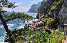 울릉도 지역현안사업 추진 탄력…울릉군 특별교부세 19억 원 확보