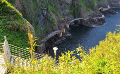 울릉도 지역현안사업 추진 탄력…울릉군 특별교부세 19억 원 확보