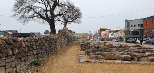 사라질 것과 살아날 것의 조우