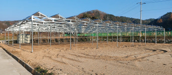 영농형 태양광 적합 약용작물 연구 첫발