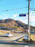 영천에 강신성일 도로… 되살아난 별