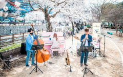벚꽃 만발 금오천서 즐기는 버스킹 소향연