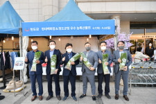 청도 한재미나리, 현대백 울산동구점에서 판촉행사