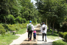 산책과 치유의 공간 포항철길숲