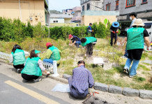 동네 유휴지에 꽃나무 심었어요  포항 상대동 새마을부녀회
