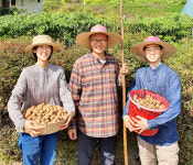 경주·의성·예천에 청년마을 짓는다