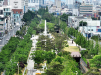 3년 된 포항 철길숲 매일 3만명 걷는다