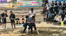 다시 열린 길안 민속단오제