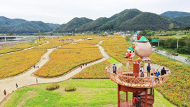 다르게, 바르게, 풍요롭게… 색깔있는 청송 만들겠습니다