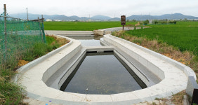 국내 유일한 노천탕 포항 흥해 참샘을 아시나요?