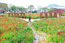 군민과 함께하는 행복한 청송 위해 날마다 한 걸음씩