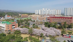 울릉도 청년예비창업가 대학교육…포항선린대학교 산학협력단에서