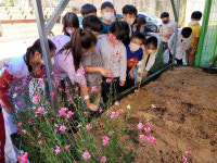 포항 대이초, 학생 참여 친환경 생태교육 호응