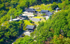 숲길·물길 따라 퇴계가 사랑한 풍경 속으로
