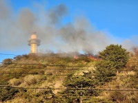 영덕 축산면 산불발생…산림당국 진화 중