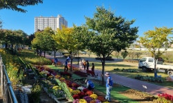 사계(四季)를 꽃으로 즐기는 남천 둔치