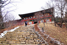 一切唯心造… 사색과 구도의 길에서 치유를 경험하다