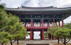 신라 화랑들의 달빛 힐링공간 울진 월송정