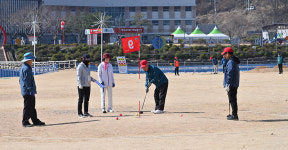 청송군, 황금사과배 파크골프대회 개최