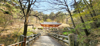 경주 용담정에 내려 앉은 화사한 봄